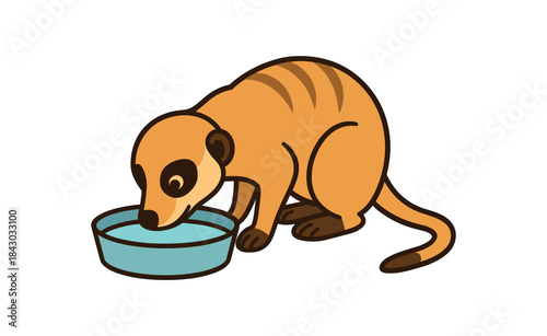 Flat vector illustration of bright meerkat sitting by water bowl drinking head lowered rounded shapes clean outline clean white background