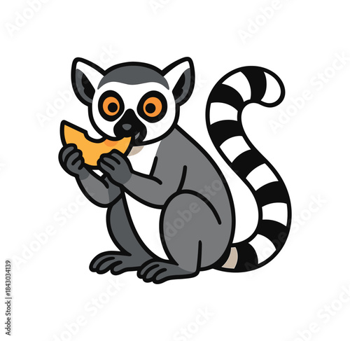 Flat vector illustration of bright ringtailed lemur holding mango slice and nibbling rounded shapes clean outline clean white background