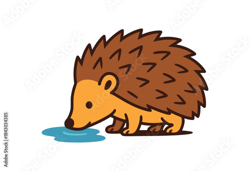 Flat vector illustration of bright hedgehog drinking from small puddle head lowered rounded shapes clean outline clean white background