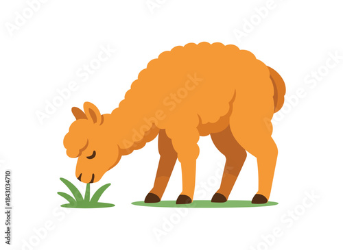 Flat vector illustration of bright alpaca grazing on small tuft of grass head lowered rounded shapes clean outline clean white background