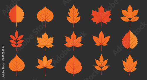 Collection of animated autumn leaf icons in warm orange and red colors, showcasing various tree species against a dark gray background.
