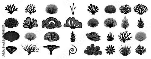 Collection of coral reef and seaweed vector silhouettes underwater sea plant and marine algae icons set