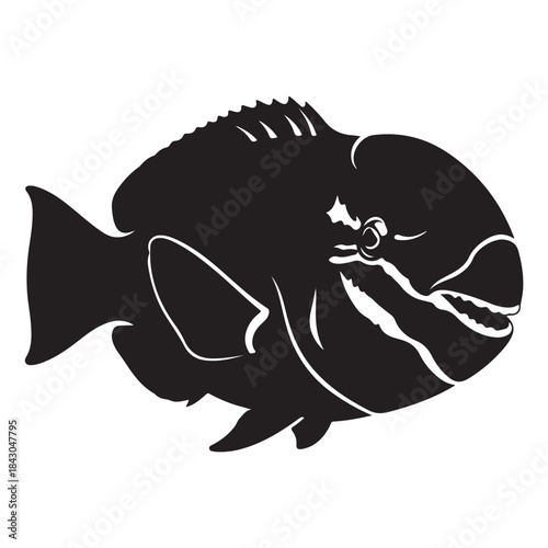 Silhouette of a vibrant fish with sharp fins and an open mouth, marine life