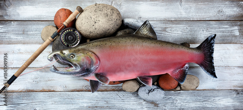 Top view of a trophy mature spawn coho salmon on natural river rock stone background plus fly fishing equipment like reel and rod