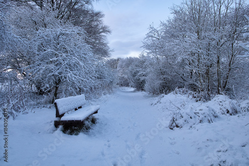 Snow-covered bench along a quiet forest path in winter. Peaceful cold landscape with frosted trees, fresh snowfall, and serene natural atmosphere. West Lothian, Scotland