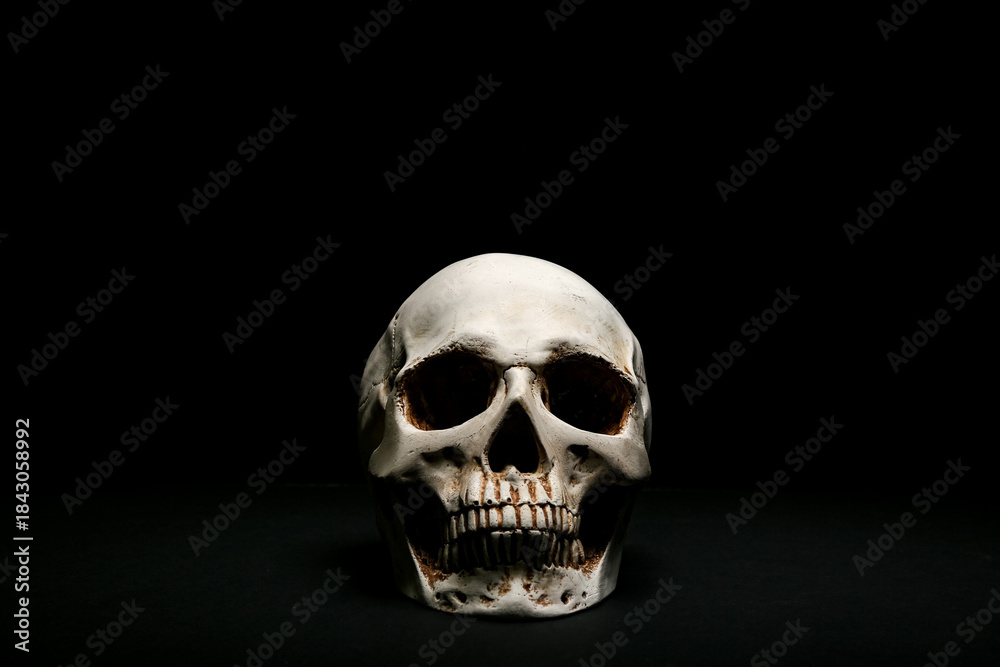 Fototapeta premium Human skull on dark background