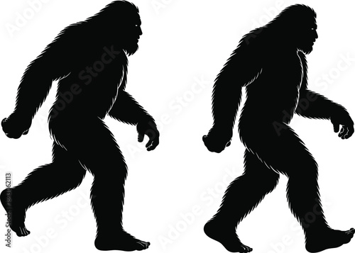 Bigfoot silhouette images, hairy humanoid figures walking, mysterious creature vector art, sasquatch legend icons, forest monster design, cryptid shadows, wildlife unknown beings