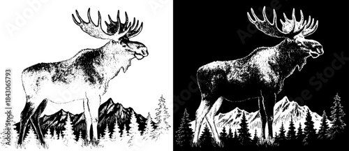 Vintage Moose Forest Engraving, Inverted Black White Xerography Vector on Transparent Background for Laser Engraving on Dark Surface
