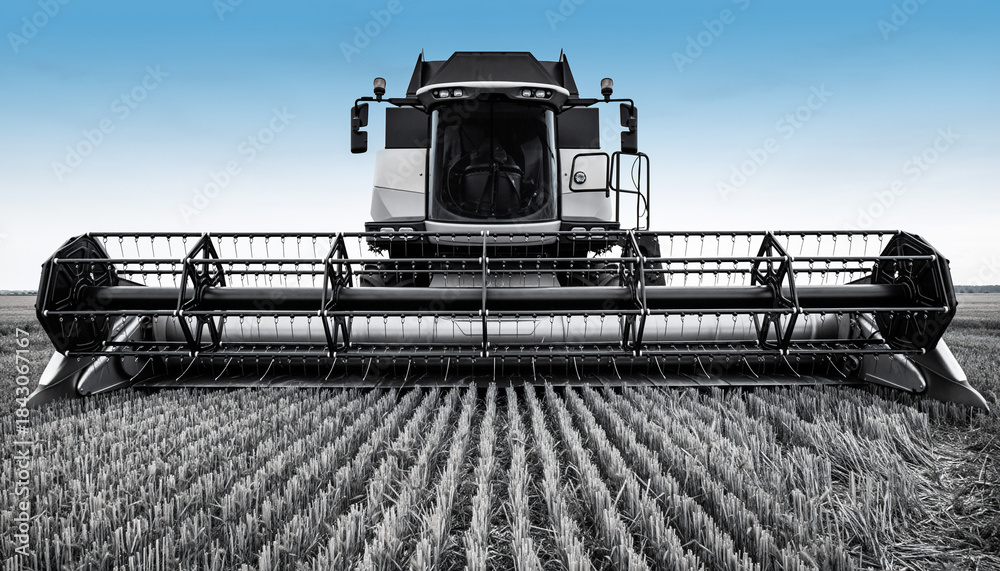 Fototapeta premium Modern Combine Harvester Working in a Golden Wheat Field Under a Clear Blue Sky.