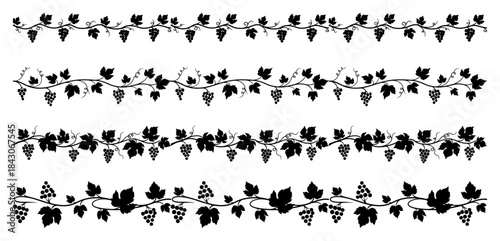 Decorative horizontal grapevine borders with black grapes and leaves for winery design