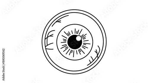 Eye Anatomy: A detailed, minimalist illustration of the human eye, showcasing intricate anatomical features like the iris, pupil, and surrounding vascular network.