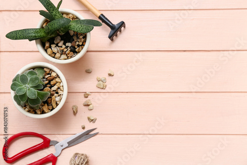 Composition with succulent,...