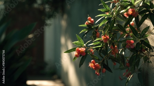 Floral Tranquility: A Serene Garden Scene with Blooming Flowers