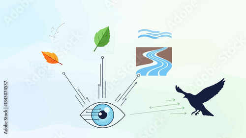 An eye perceiving various elements of nature including leaves, water, a river, and a flying bird.