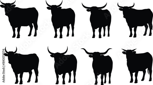 Collection of Black Silhouettes of Bulls with Varied Horn Shapes and Poses cattle bovine