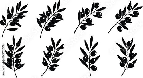 Olive branch silhouette vector set with leaves and fruit, minimal black botanical icon collection for design and symbolism