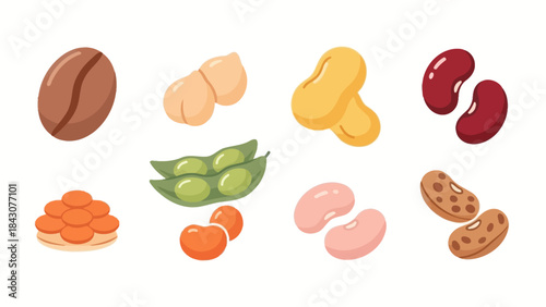 Set of assorted nuts and beans isolated on white background, healthy food collection illustration