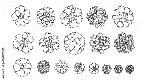 Top-Down Architectural Plant Symbols for Landscape Design and Arboriculture