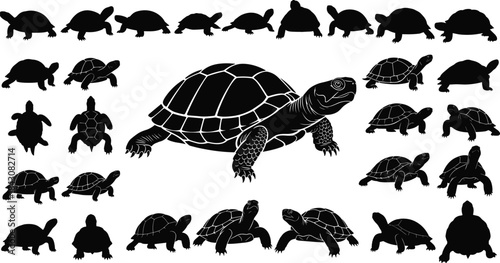 Turtle silhouette set, tortoise vector icons, reptile shapes, animal clipart, shell views, wildlife design, editable illustrations, black graphic elements
