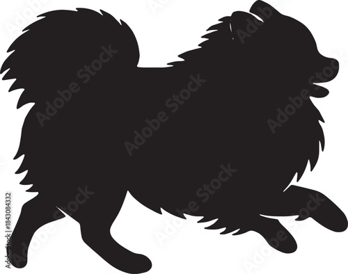 Silhouette of a fluffy pomeranian dog in a dynamic walking pose