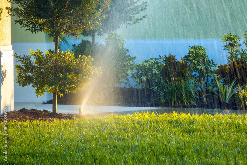 Obraz na plátně Lawn grass watering with automated sprinkler