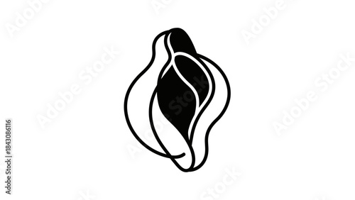 Abstract Black and White Stylized Shape Resembling a Seed Pod or Flower Bud form organic