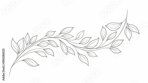 Elegant Leafy Vine Design: A delicate, intricate sketch of a leafy vine unfurls, its graceful tendrils and detailed leaves suggesting growth and beauty.