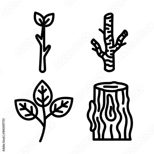 Set of four black outline icons depicting plant growth stages - sprout, branch, leafy twig, and tree stump.