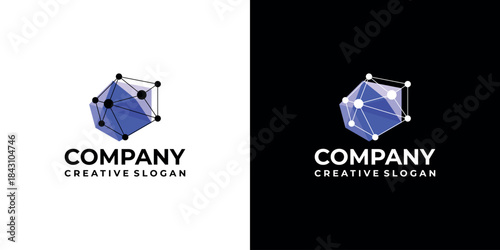 Polygonal Digital Network Logo Colorful Connection Points Modern Vector Template