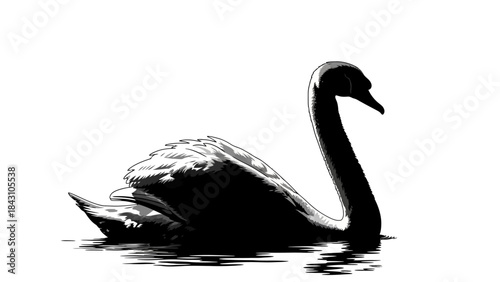 Minimalist black and white swan silhouette gliding on calm reflective water