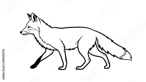 Stylized black and white fox line drawing in walking profile vector illustration