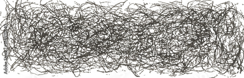 black and white feather on winter nature background