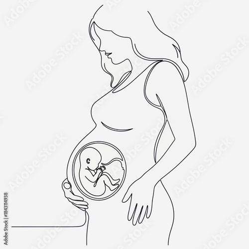 Pregnant woman with visible fetus in womb continuous line art.
