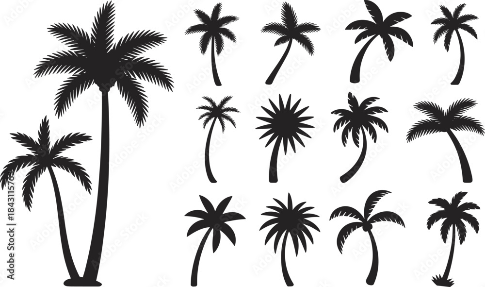 Fototapeta premium Silhouettes of Tropical Palm Trees in Various Shapes and Styles for Nature, Travel, Summer, Beach, and Botanical Design Themes