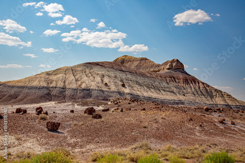 painted desert 