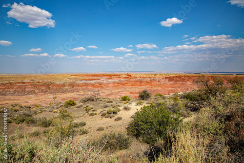 Colorful painted desert