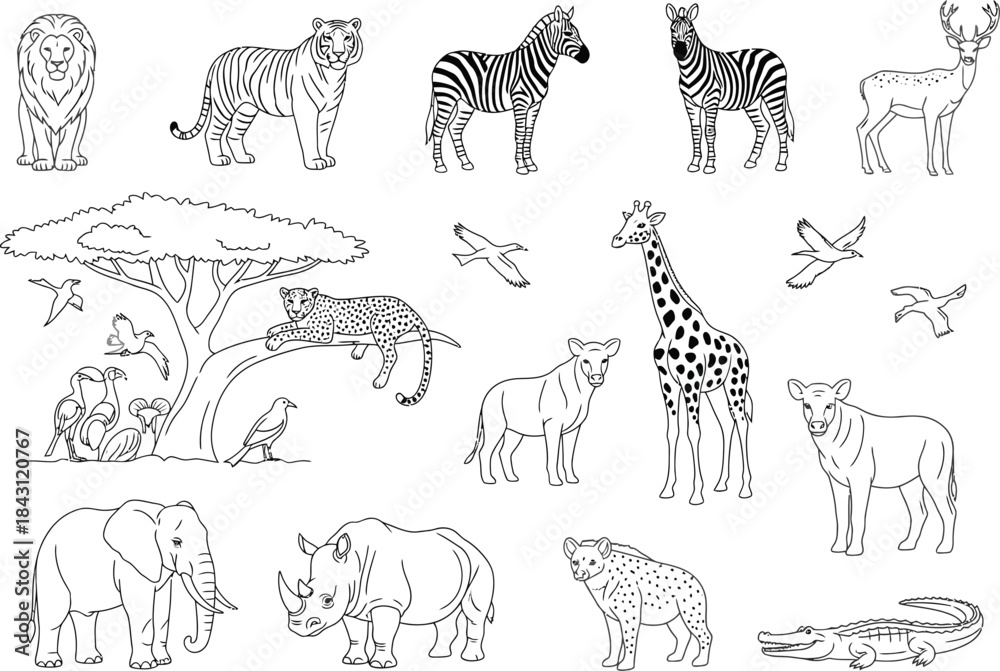 Naklejka premium Various wild animals found in africa for coloring pages and educational resources