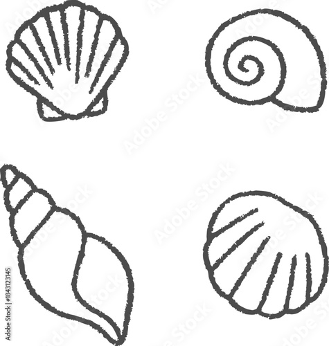 Sea shells collection doodle