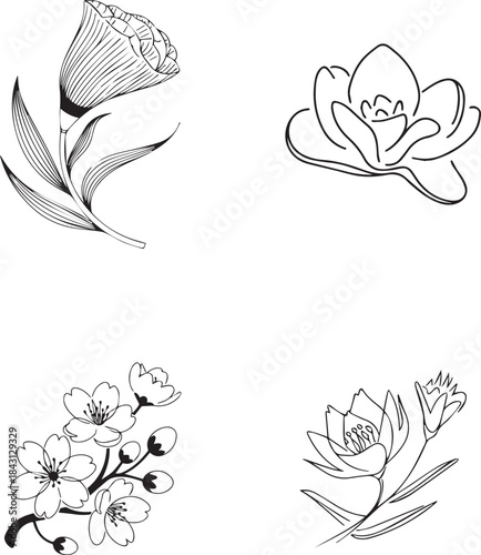 Collection of Four Stylized Botanical Line Drawings of Various Flowers and Blossoms
