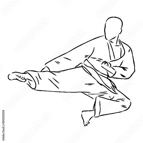 karate, karate vector sketch, movements in karate