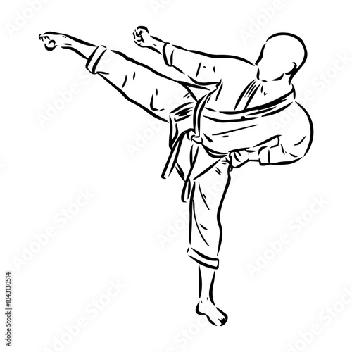 karate, karate vector sketch, movements in karate