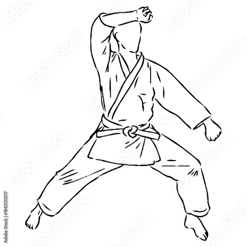 karate, karate vector sketch, movements in karate