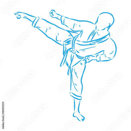 karate, karate vector sketch, karate moves