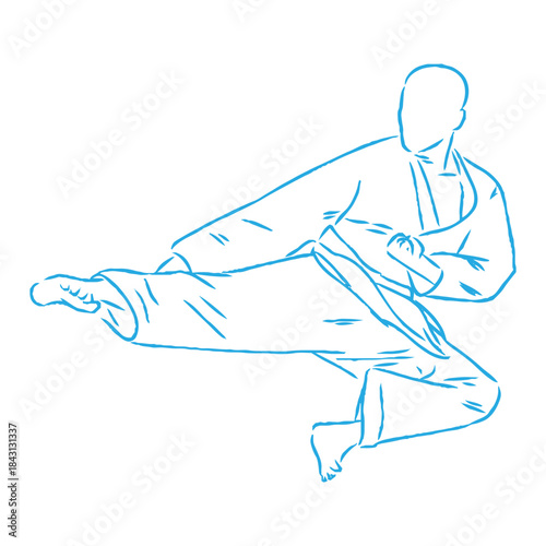 karate, karate vector sketch, karate moves