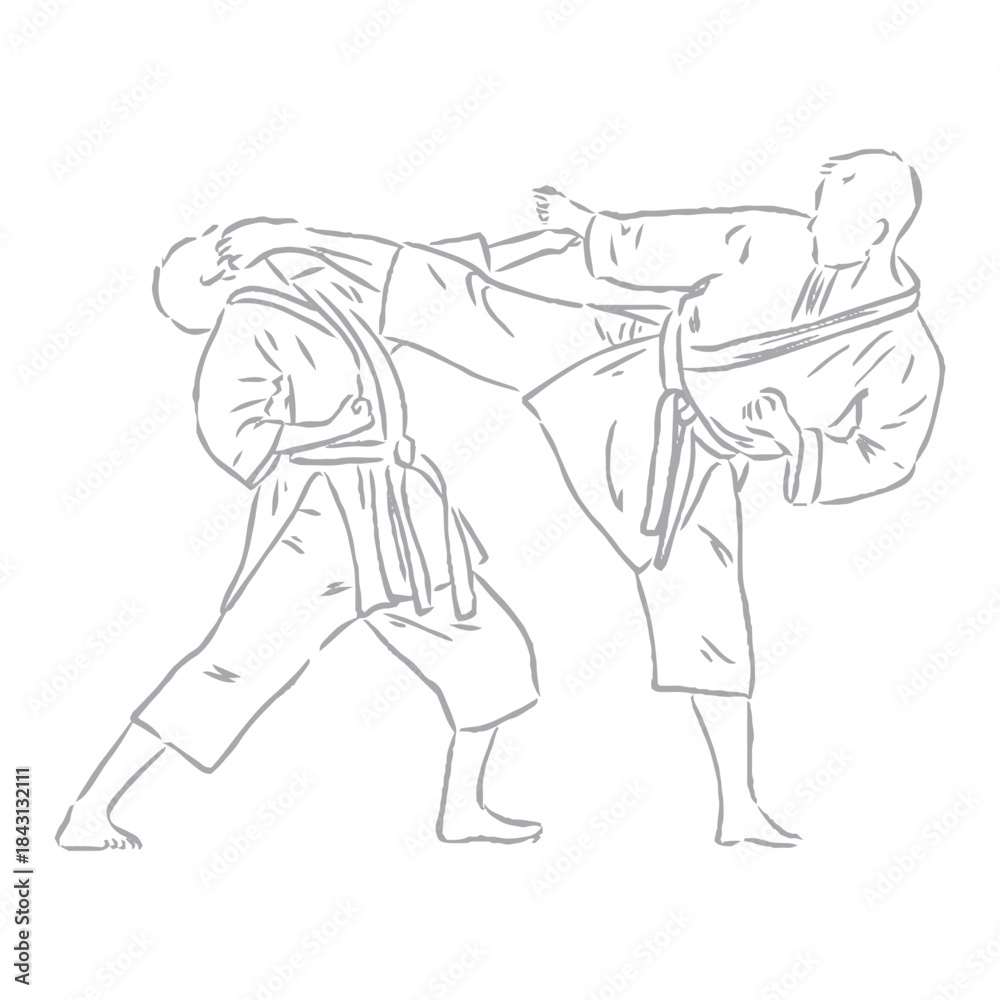 Fototapeta premium karate, karate vector sketch, karate moves