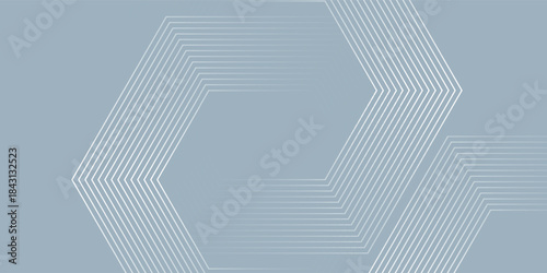 Modern hexagon lines on gray background. Geometric lines simple design modern art vector illustration eps10