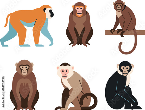 Colorful vector collection featuring six different monkey species including macaque, langur, and baboon in flat, modern style for wildlife and nature themes.