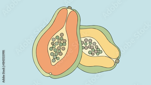Two Halves of a Ripe Papaya Fruit with Seeds.