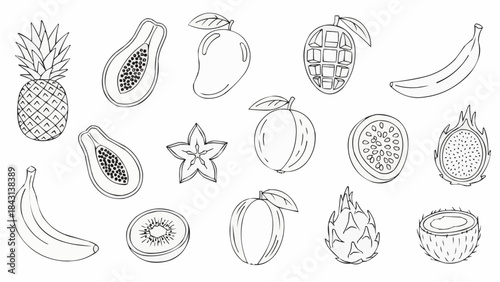 Collection of Exotic Tropical Fruits Hand Drawn Sketch Style.