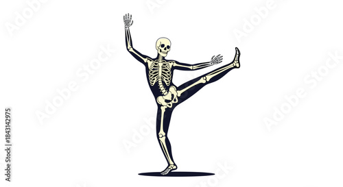 Humorous and quirky illustration of a human skeleton performing the extended hand-to-big-toe yoga pose for a fun anatomy concept.